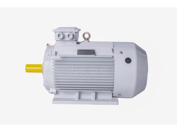 YE5(IE5)系列三相異步電動機(jī)